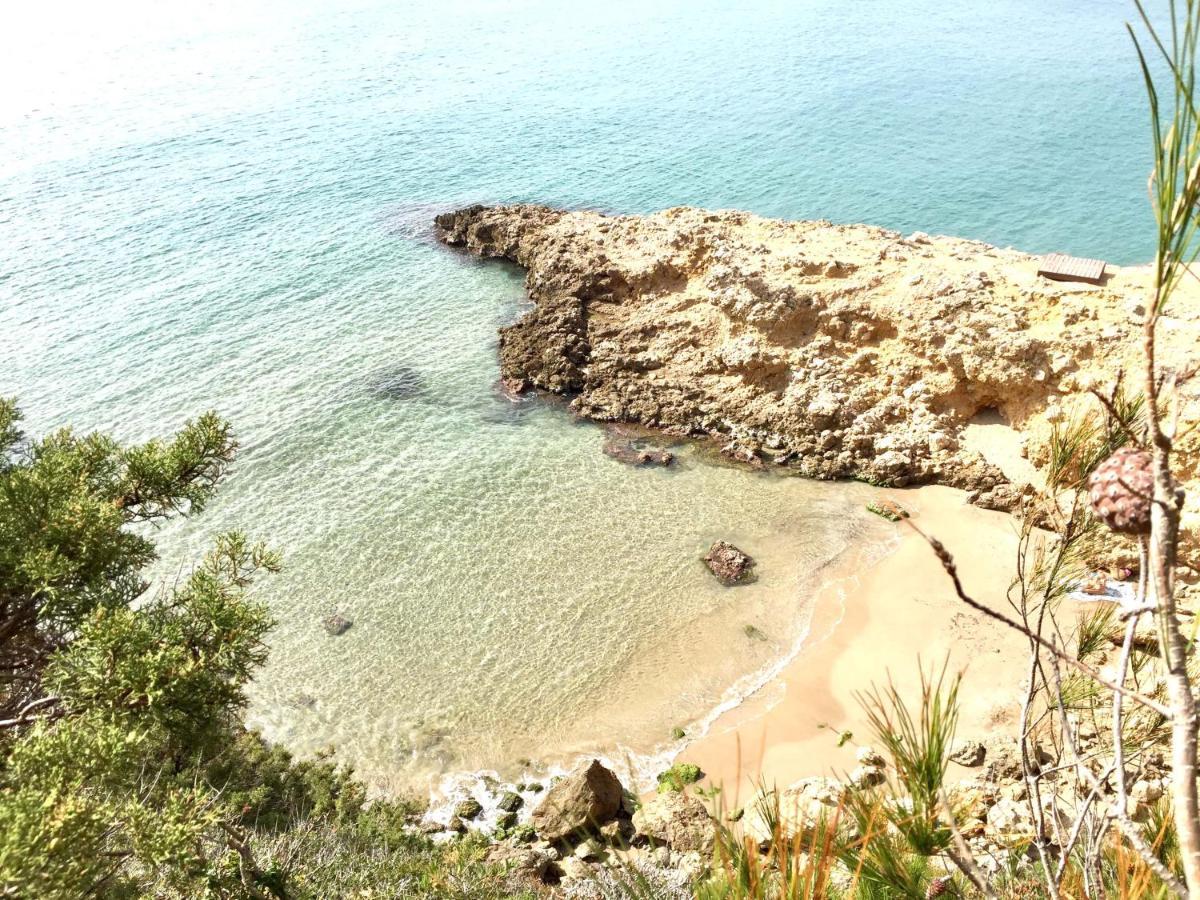 Synergie Si01 - Ideal Para Descansar Salou Kültér fotó